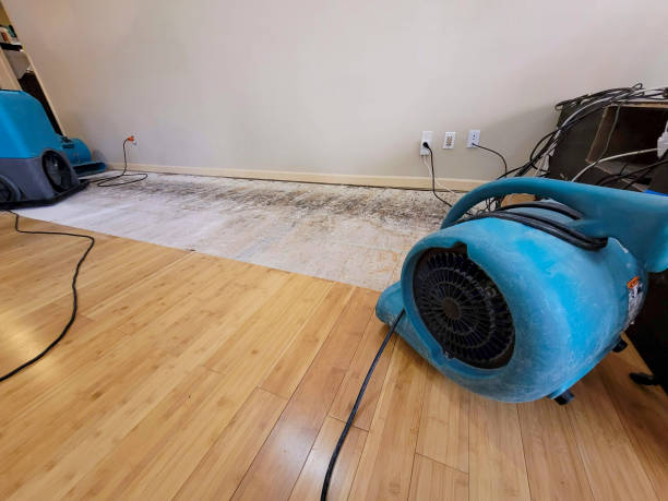 Professional Sewage Cleanup technician working in High Point, FL